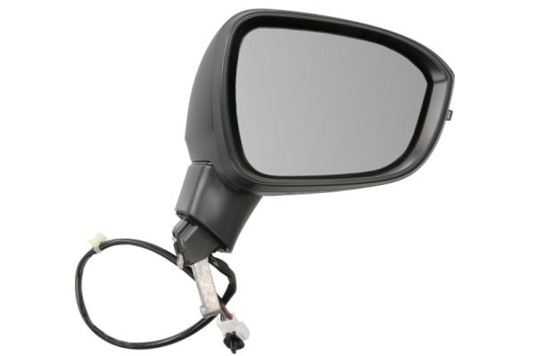 Exterior Mirror BLIC 5402-16-2556311P