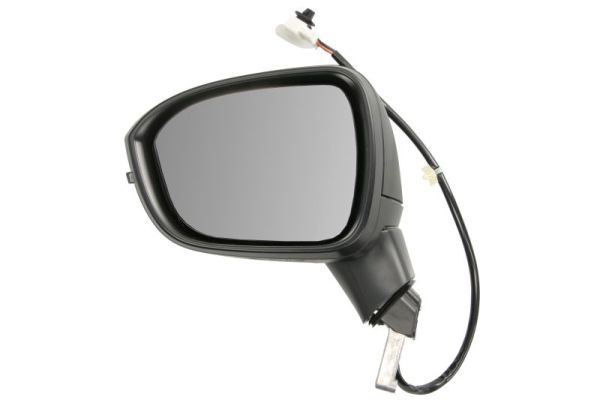 Exterior Mirror BLIC 5402-16-2556312P