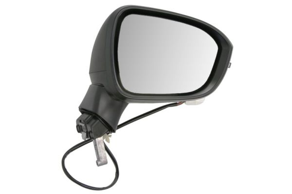 Exterior Mirror BLIC 5402-16-2556313P