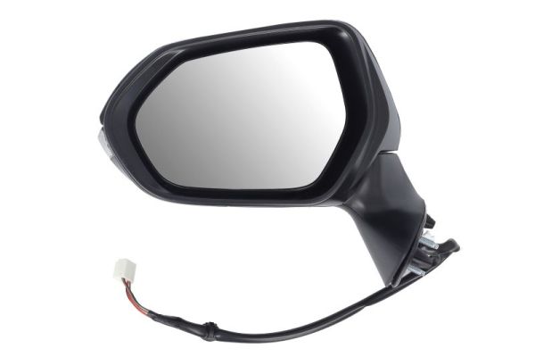 Exterior Mirror BLIC 5402-19-2505310P