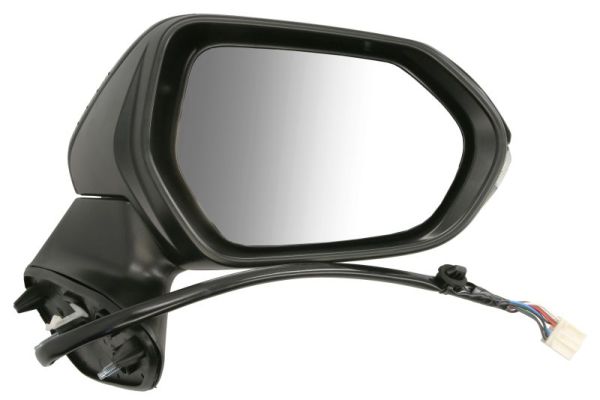 Exterior Mirror BLIC 5402-19-2505315P