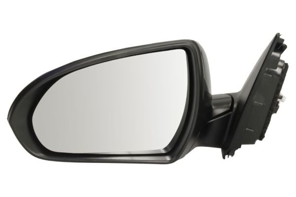 Exterior Mirror BLIC 5402-20-1966312P