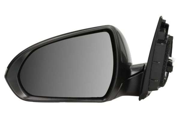 Exterior Mirror BLIC 5402-20-1966314P