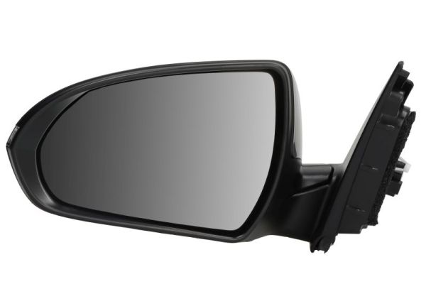 Exterior Mirror BLIC 5402-20-1966318P