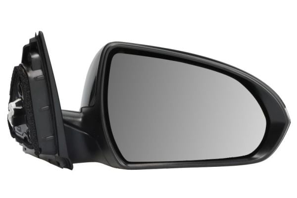 Exterior Mirror BLIC 5402-20-1966319P