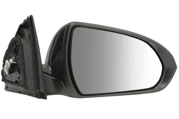 Exterior Mirror BLIC 5402-20-1966321P