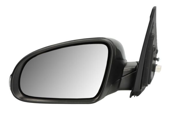 Exterior Mirror BLIC 5402-20-2238312P