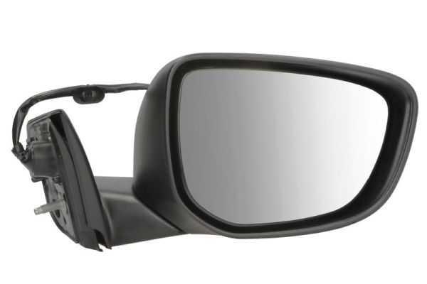 Exterior Mirror BLIC 5402-21-0204313P