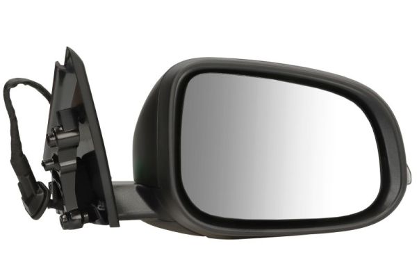 Exterior Mirror BLIC 5402-24-1839311P
