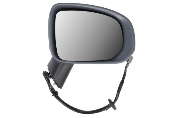 Exterior Mirror BLIC 5402-24-2025313P