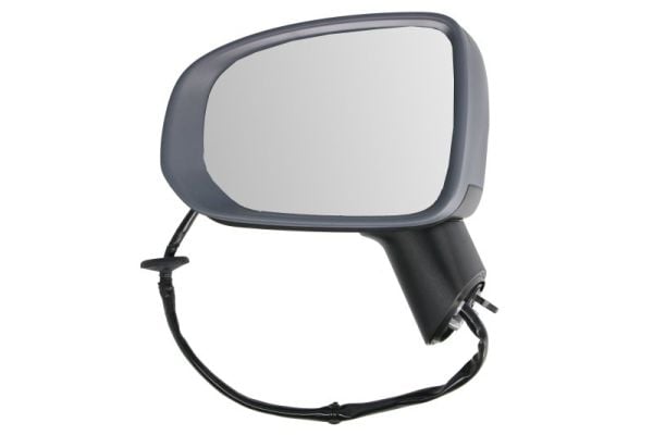 Exterior Mirror BLIC 5402-24-2025314P