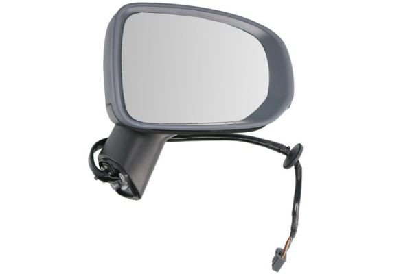 Exterior Mirror BLIC 5402-24-2025315P