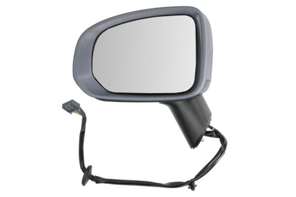 Exterior Mirror BLIC 5402-24-2025316P