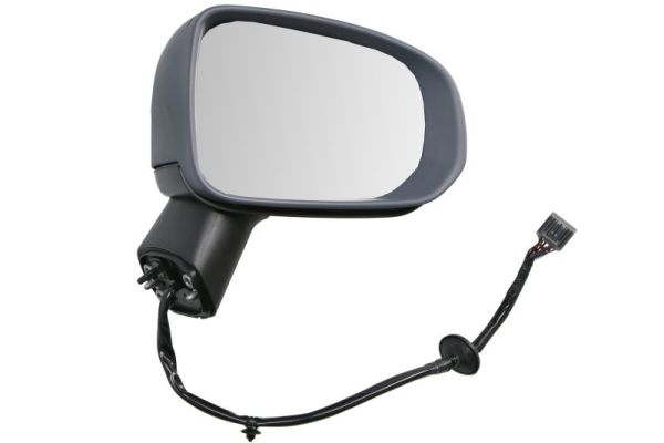 Exterior Mirror BLIC 5402-24-2025317P