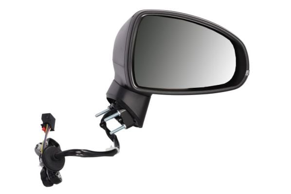 Exterior Mirror BLIC 5402-25-1629311P