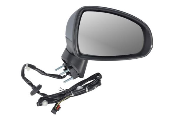 Exterior Mirror BLIC 5402-25-1629313P