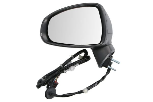 Exterior Mirror BLIC 5402-25-1629314P