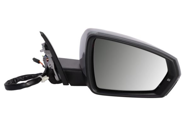 Exterior Mirror BLIC 5402-25-2205317P