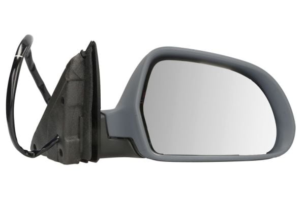 Exterior Mirror BLIC 5402-43-1318311P