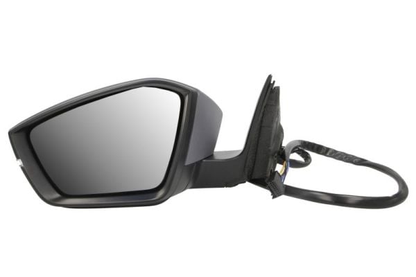 Exterior Mirror BLIC 5402-43-1319312P