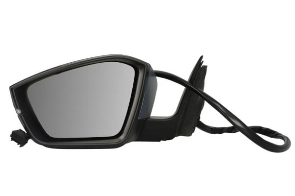 Exterior Mirror BLIC 5402-43-1319316P