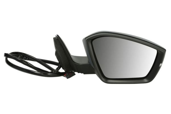 Exterior Mirror BLIC 5402-43-1319317P