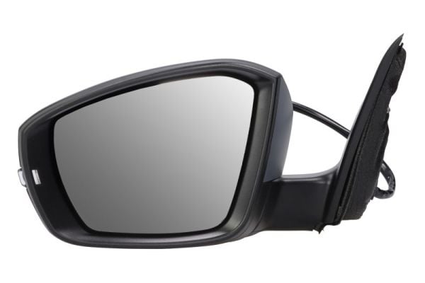 Exterior Mirror BLIC 5402-43-1923310P