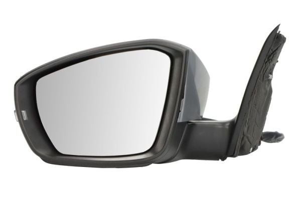 Exterior Mirror BLIC 5402-43-1923314P