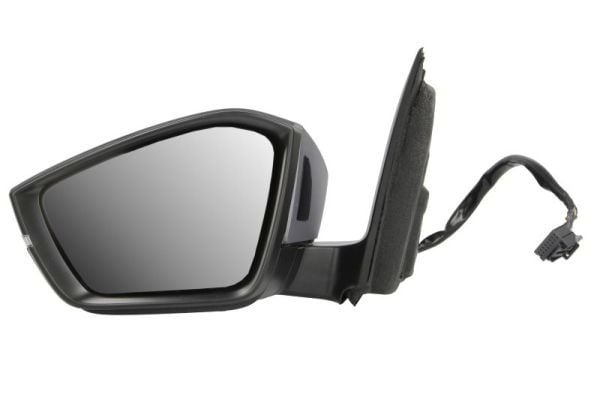 Exterior Mirror BLIC 5402-43-2195316P