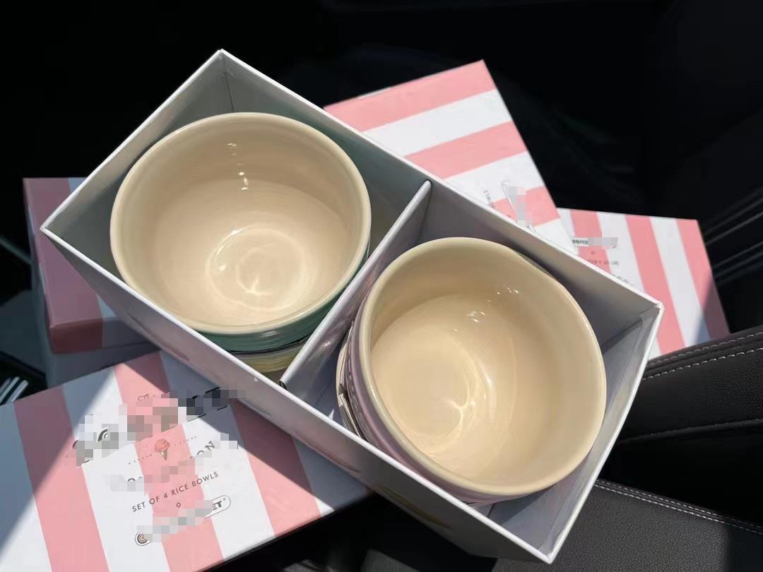 New Macaron Rice Rice Bowls Four Insulated Color Box