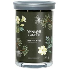 Yankee Candle Silberner Salbei und Kiefer Signature Tumbler Candles (Silbersalbei und Kiefer) – Duftkerze – 567,0 g