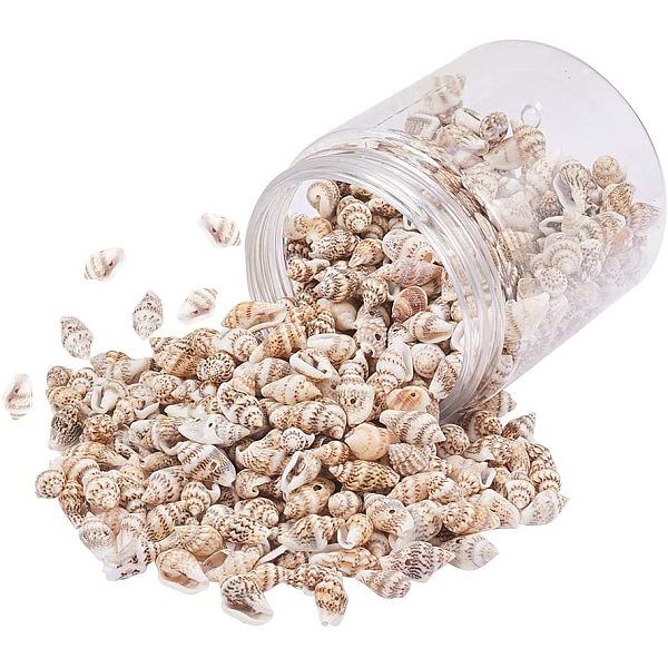 Spirale Shell Charm-Anhänger