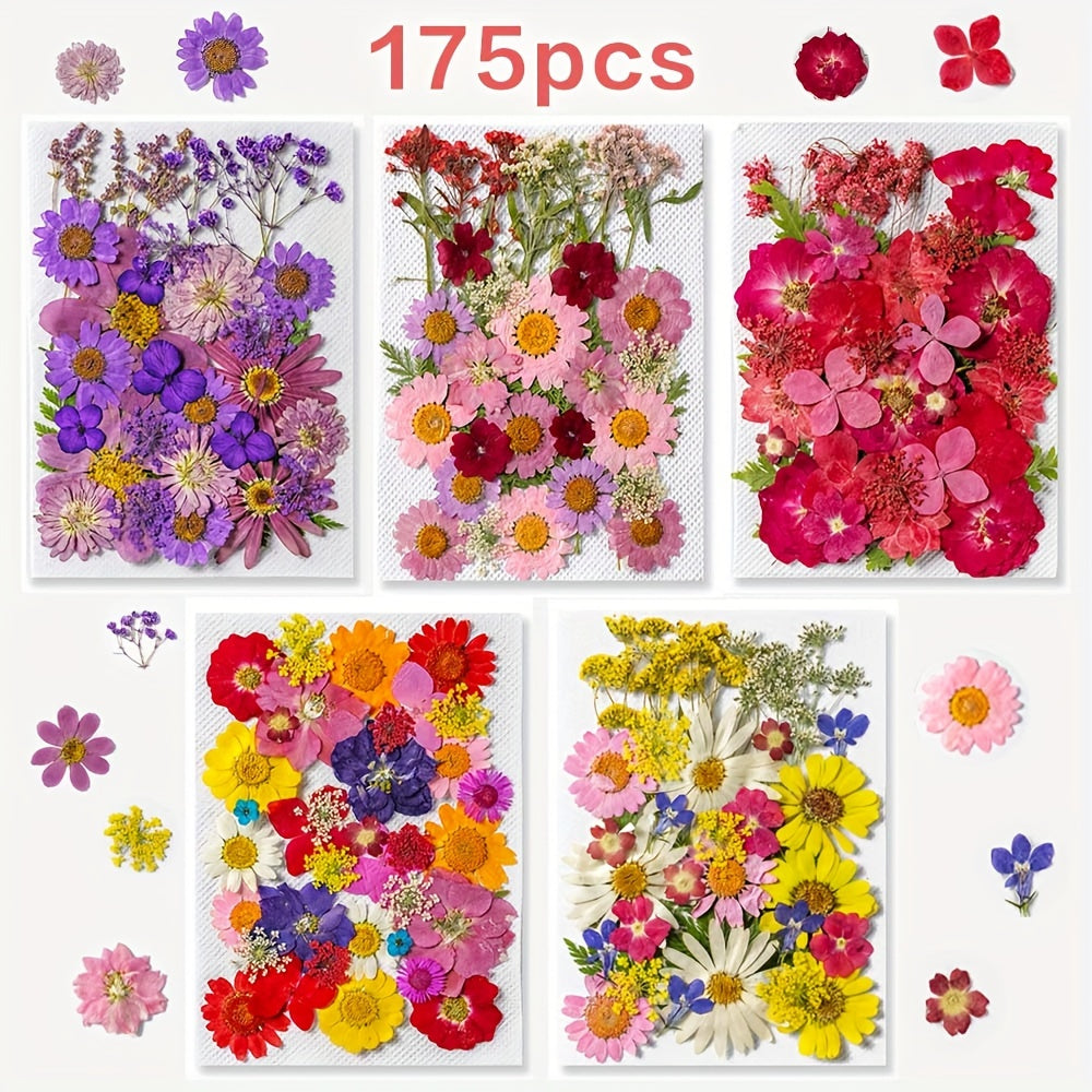 TEMU 175pcs Dried Pressed Flowers And Leaves Set - Assorted Colors For Diy Crafts, Resin Jewelry, Scrapbooking - Mixed Color Floral Decor Kit