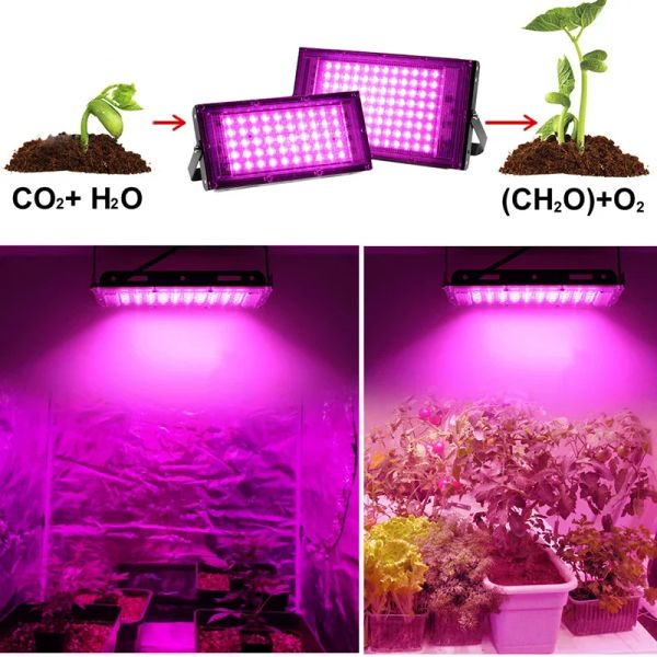 Growth Plant Lighting AC 220V 50W 100W 200W Full Spectrum Plants Light Led Grow for Greenhouse Hydroponic Grow Light Phyto Lamp s