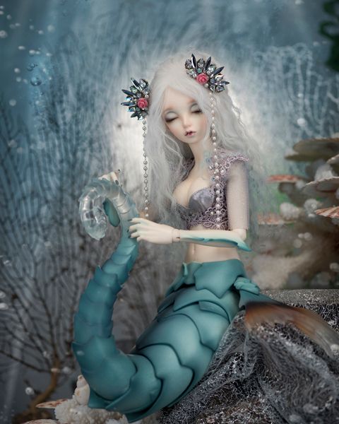 Dolls BJD 14 Haima animal vcytfv vbvhygtyfvt 230918