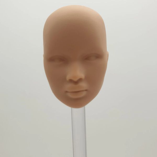 Dolls Fashion Royalty 1-6 scale Nadja Rhymes Hungarian Skin Blank Face Without Hair Integrity Unpainted Doll Head 231208