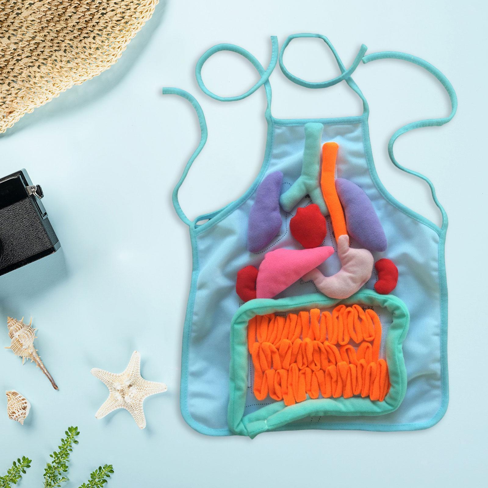 3D Organ Apron Children Learning Apron Pretend Play Early Childhood Human Body