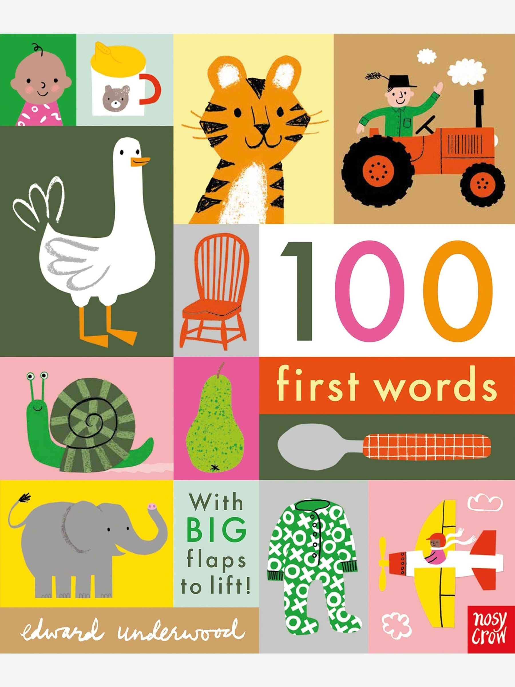 100 First Words Book ONE