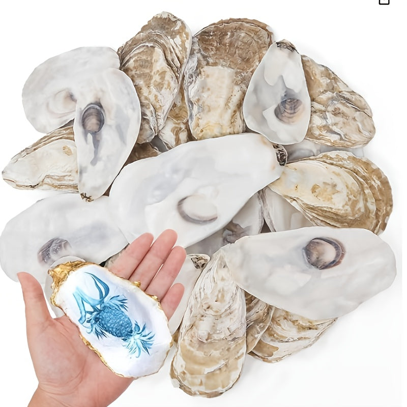 TEMU 17pcs Flat Oyster Shells 3-5in Medium To Large, Natural, Disk Shaped, Craft Sea Shells For Home Vase Filler, Ornaments, Diy Arts And Crafts