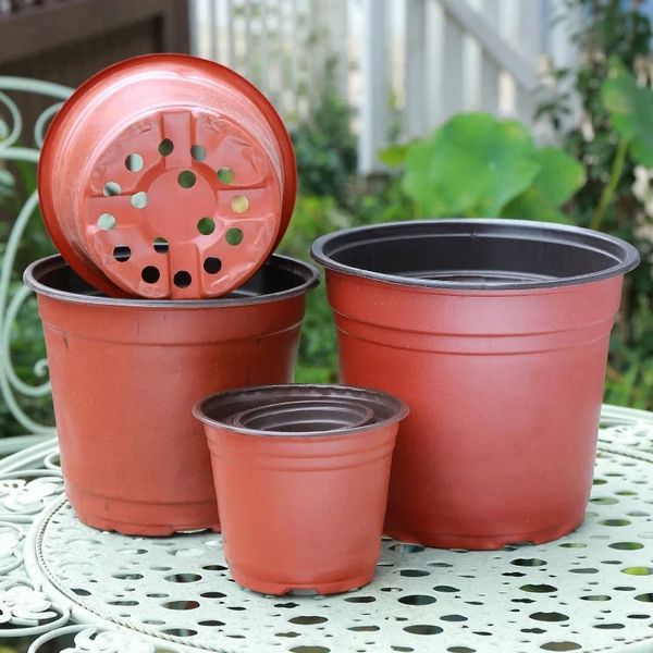 5020pcs Plastic Flowerpots Simple Nursery Seedling Pot Flowers Seed Breeding Planters Container Box Garden Supplies Tool 241212