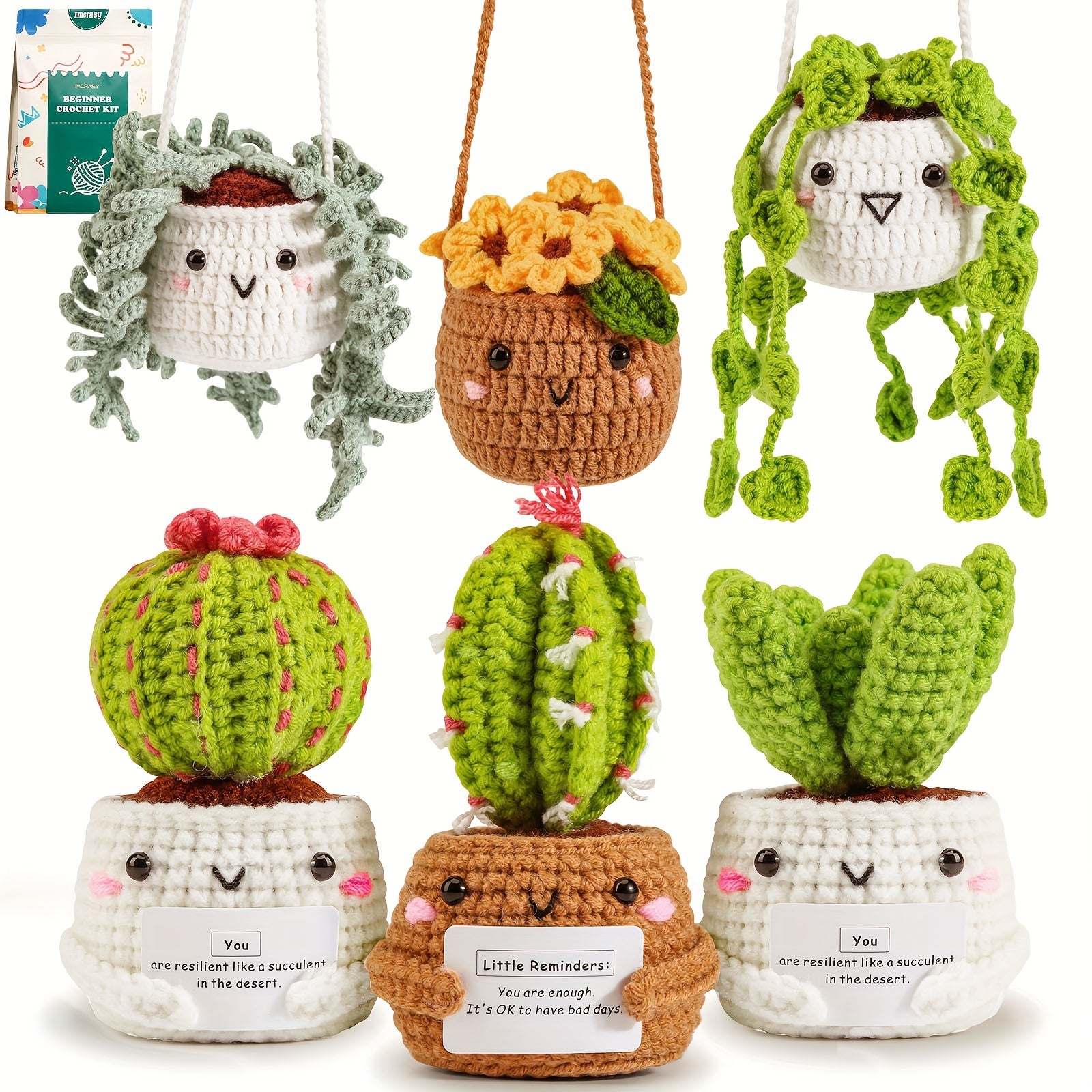 TEMU Crochet Kit | Crochet Kit For Beginners | Emotional Support Succulent Crochet & Knitting Kit With Step By Step Video Lessons | 6pcs Succulent