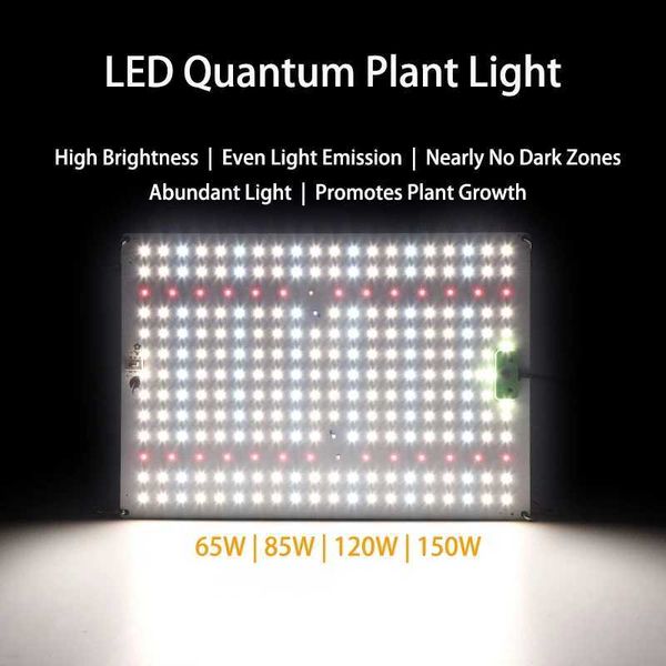 LED Grow Light 65W 85W 100W 120W 150W Full Spectrum LM281B Chips Hydroponics Plant Growth Lamp Quantum Board Y240816