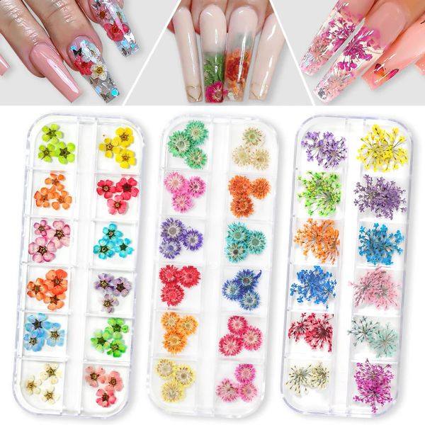 12 Grids 3D Dried Flowers Nail Art Decoration Decals Natural Floral Sticker ns Dry Flower DIY Manicure Accessories 250115