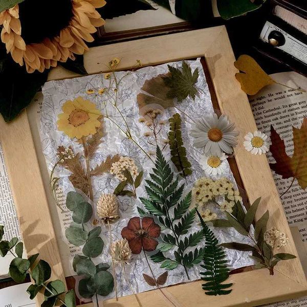 10pcs-lot Plant specimen stickers Vintage Dried flowers INS Decorative sticker PET paper Scrapbooking Material Diary notebookT250122