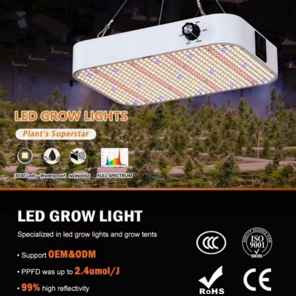 Led Grow Light Plant Hydroponic Lamp LED Full Spectrum 220V LED Phytolamps Light Greenhouse Seeds Flower Grow Lighting 100W