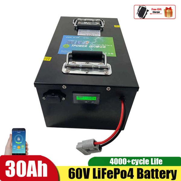 60V 30Ah Lifepo4 Battery with BMS for Electric Bicycle Bike Scooter Boat Industrial Equipment Tricycle + 5A Charger