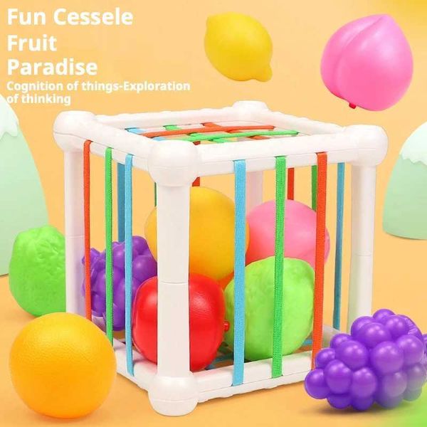 Baby Toys Baby Early Education Toys Mais de 6 meses 11 anos Early Education Toys Toys Educational Toys for infantsc250117