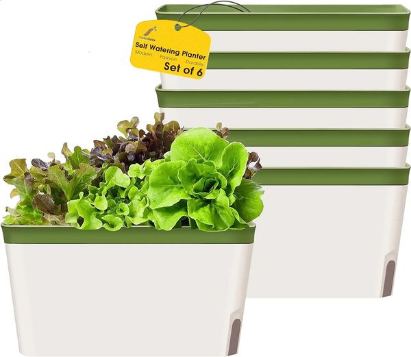 Self watering basin window box indoor plants home garden modern decorative flower pot household herbs meat juice set 6 240823