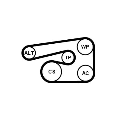 V-Ribbed Belt Set CONTITECH 5PK1546K1