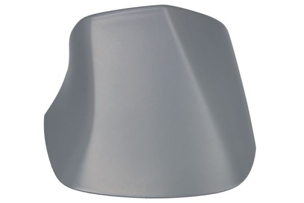 Cover, exterior mirror BLIC 6103-04-1103313P